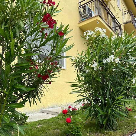 Сasa de vacaciones Casa R&e *